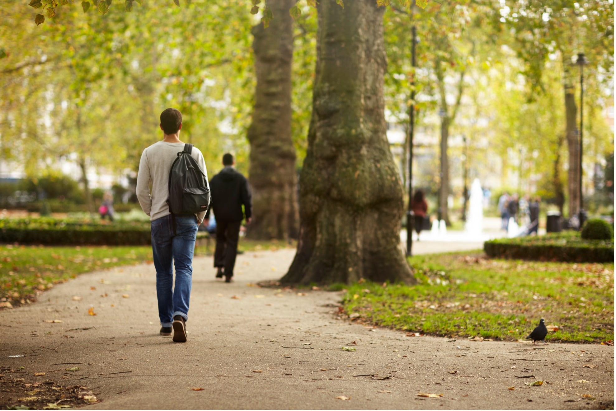 A man with a ruck sack walks through a leafy park